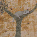 木の上の猫/A cat on the tree